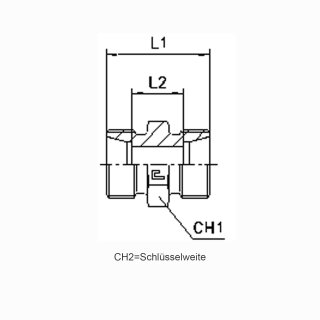 Gerade Schneidringverschraubung G ohne Muttern und Schneidringe G28L OMD