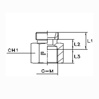 Aufschraubverschraubung metrisch GAI12LM OMD