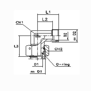 Einstellbare Winkelverschraubung mit Dichtkegel EW12S OMD